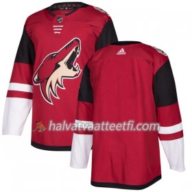 Miesten NHL Arizona Coyotes Pelipaita Blank Adidas 2017-2018 Maroon Authentic